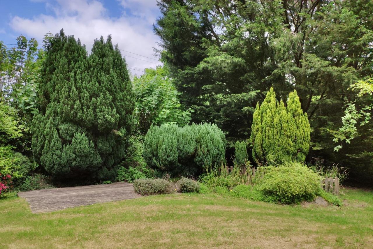 The Annex Roundaway Lodge Okehampton Zewnętrze zdjęcie